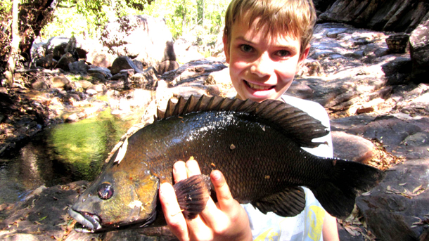 Sooty grunters rule!